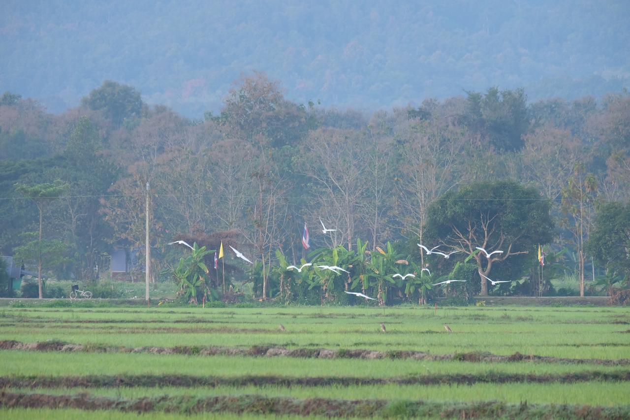 Отель Camp Story Chiangmai Чиангмай Экстерьер фото